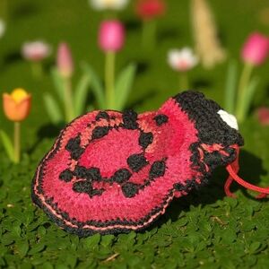 Chic Red and Black Crochet Crossbody Bag